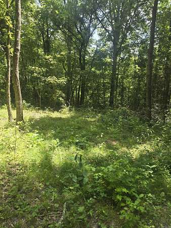 10 Acres of Residential Land for Sale in Letona, Arkansas