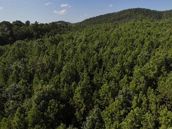 3.16 Acres of Residential Land for Sale in Mena, Arkansas