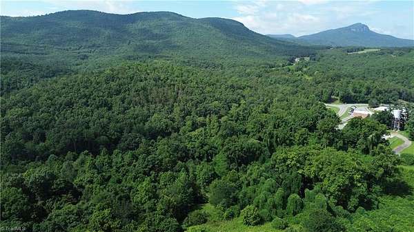 90 Acres of Recreational Land for Sale in Danbury, North Carolina