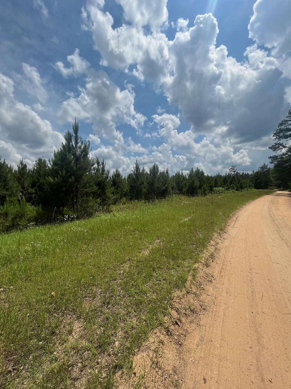 15.3 Acres of Land for Sale in Lumpkin, Georgia