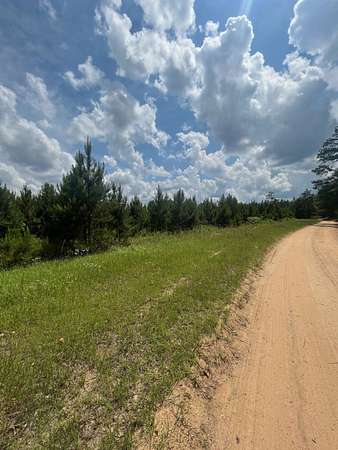 15.3 Acres of Land for Sale in Lumpkin, Georgia