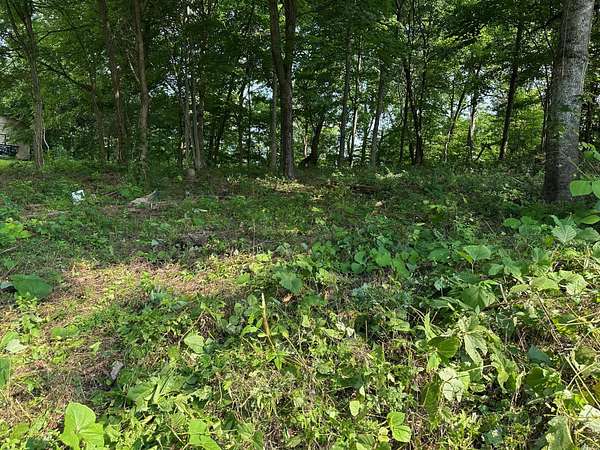 1.3 Acres of Residential Land for Sale in Dayton, Tennessee