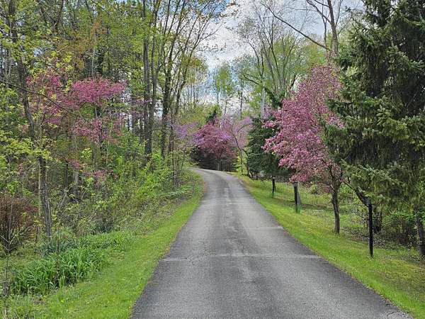 10 Acres of Land with Home for Sale in Portland, Michigan