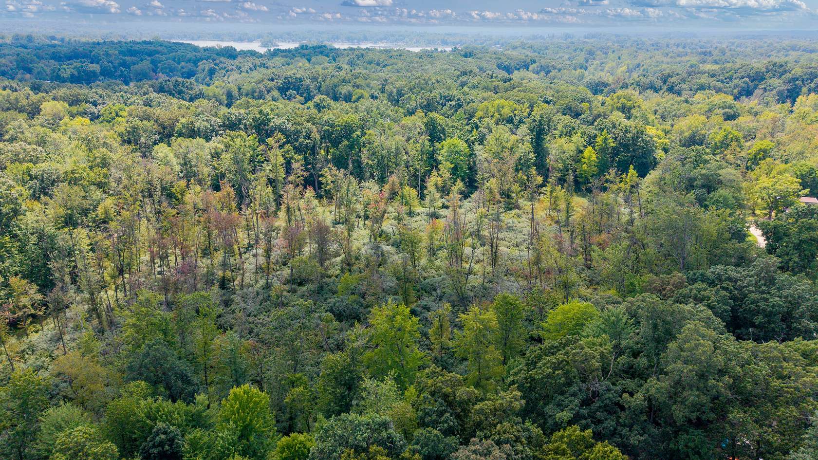 5 Acres of Residential Land for Sale in Tipton, Michigan