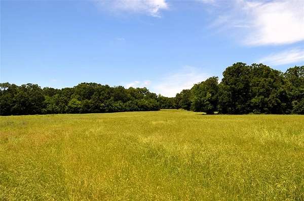 100 Acres of Land for Sale in Eustace, Texas