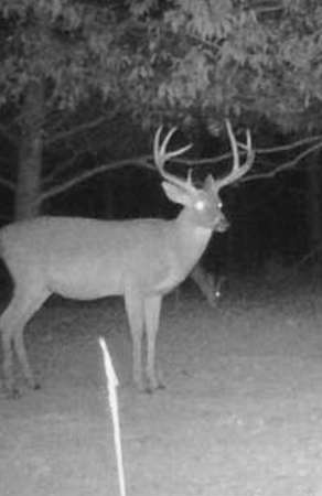 80 Acres of Recreational Land for Sale in Carlisle, Arkansas