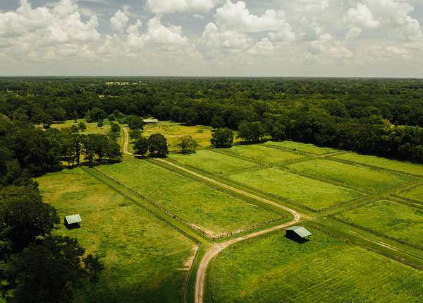 38 Acres of Land for Sale in Carencro, Louisiana