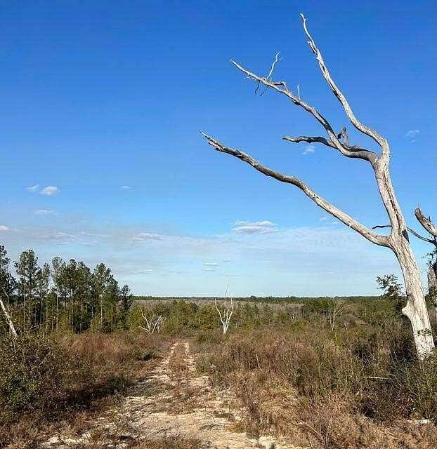 70 Acres of Land for Sale in Ponce de Leon, Florida