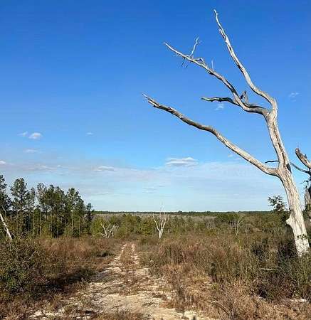 70 Acres of Land for Sale in Ponce de Leon, Florida