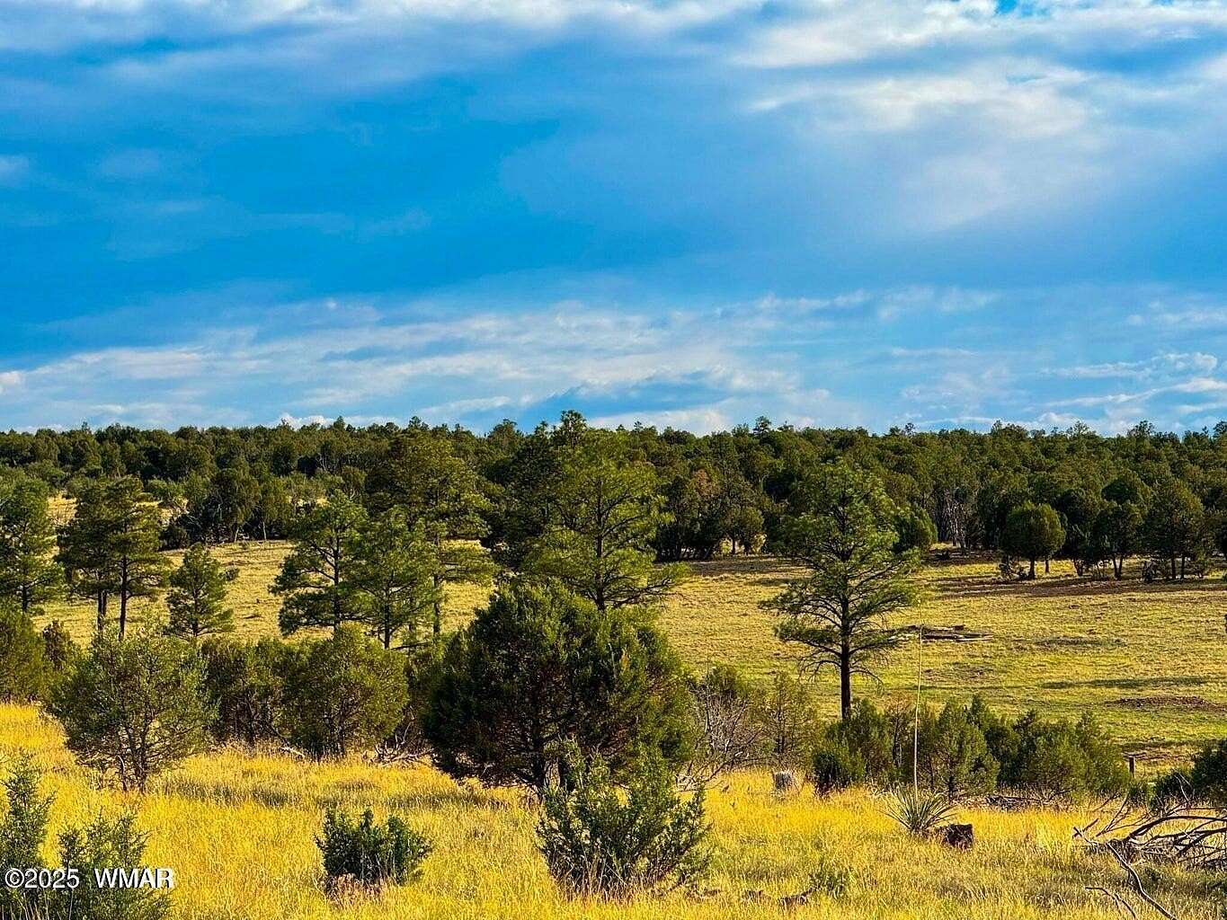 2.54 Acres of Residential Land for Sale in Aripine, Arizona