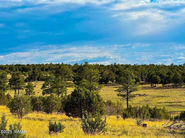 2.54 Acres of Residential Land for Sale in Aripine, Arizona