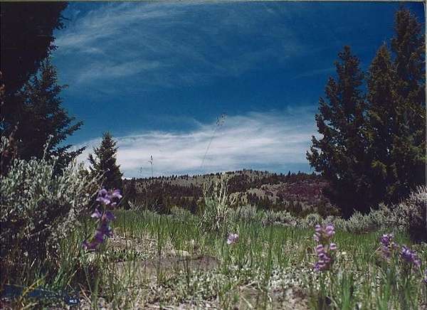 908 Acres of Recreational Land for Sale in Ramsay, Montana