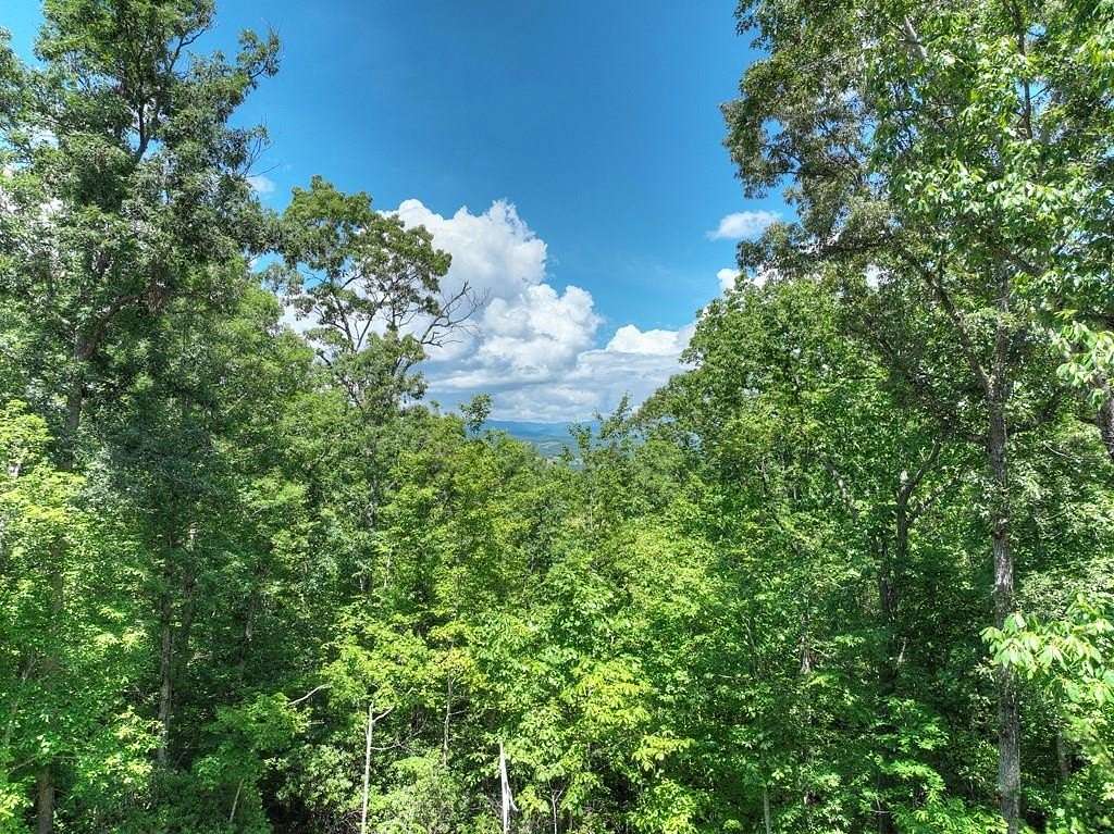 79.5 Acres of Land with Home for Sale in Young Harris, Georgia