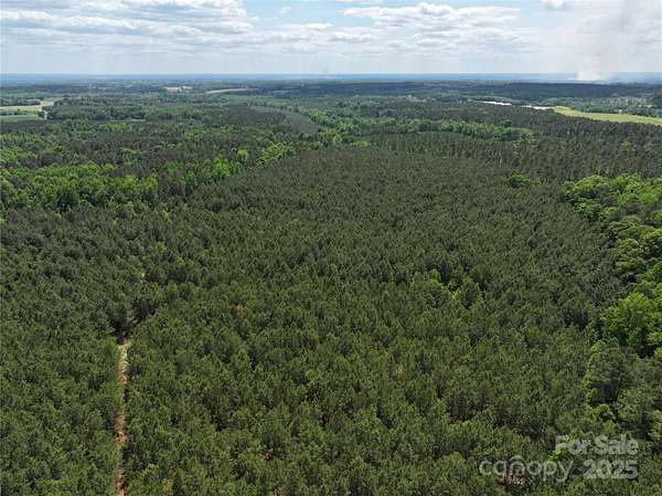 1,065 Acres of Land for Sale in Wadesboro, North Carolina