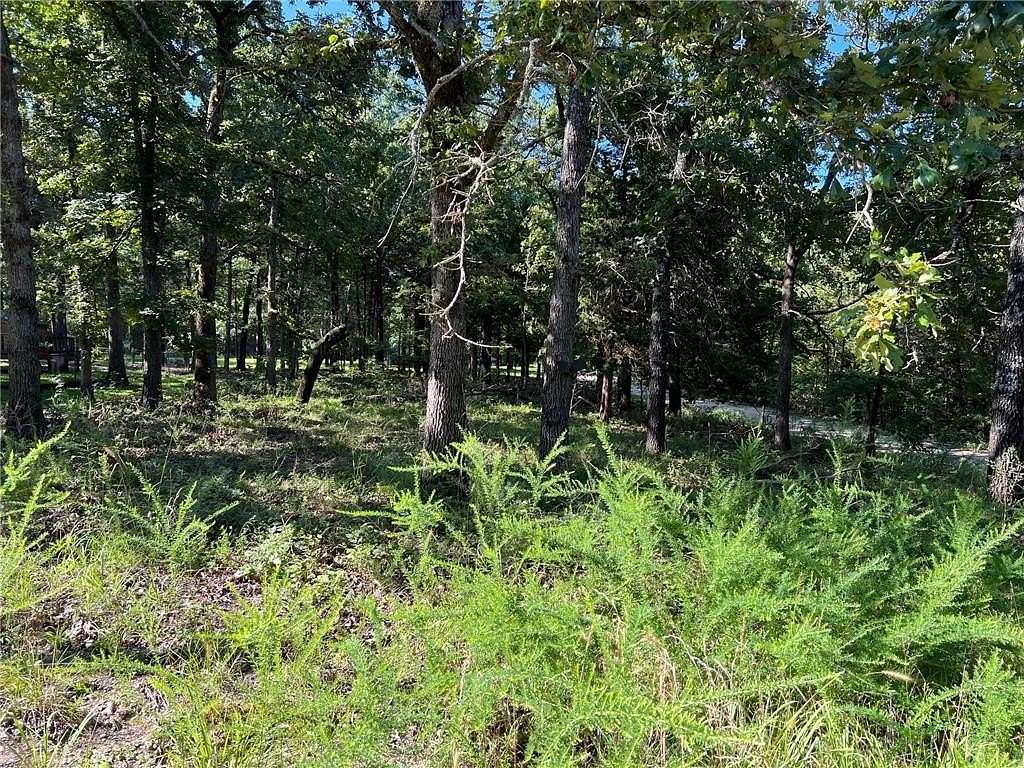 0.21 Acres of Land for Sale in Diamond City, Arkansas