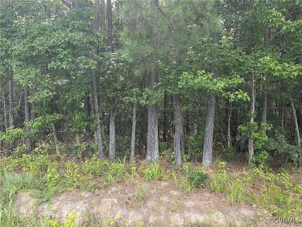 3.78 Acres of Land for Sale in Jarratt, Virginia