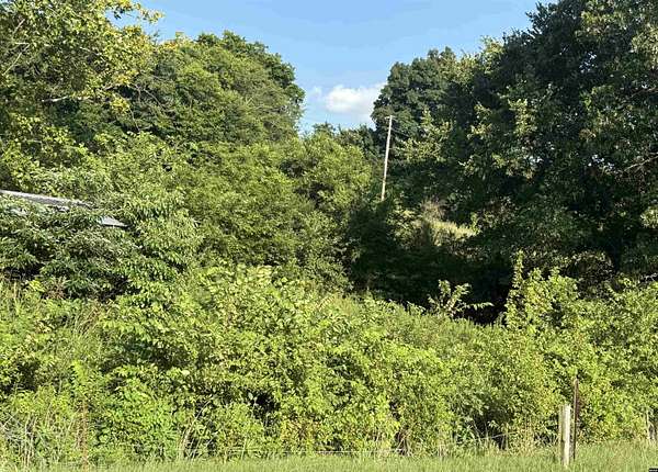 1 Acre of Residential Land for Sale in Troy, Tennessee