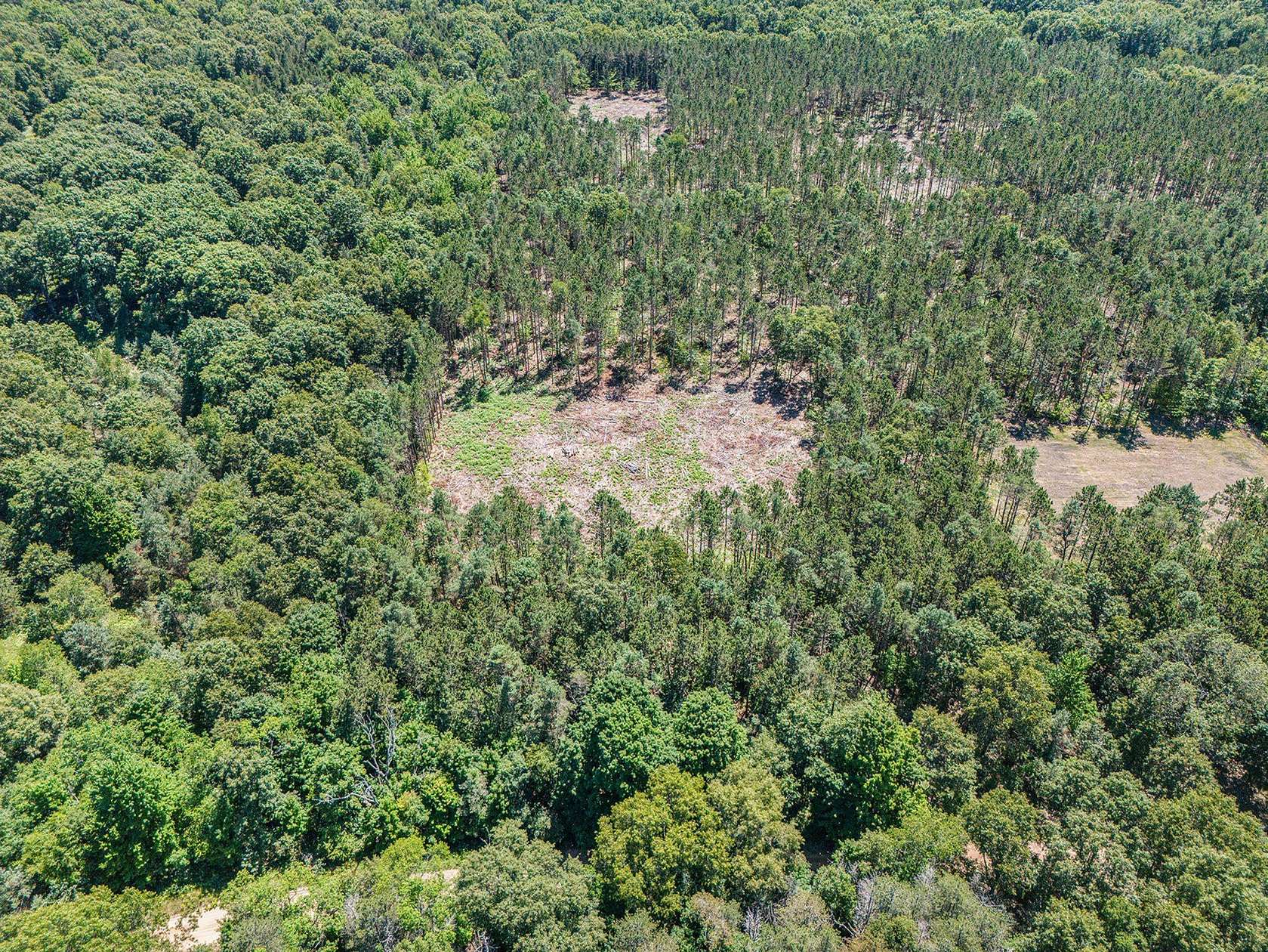 10 Acres of Land for Sale in Mears, Michigan