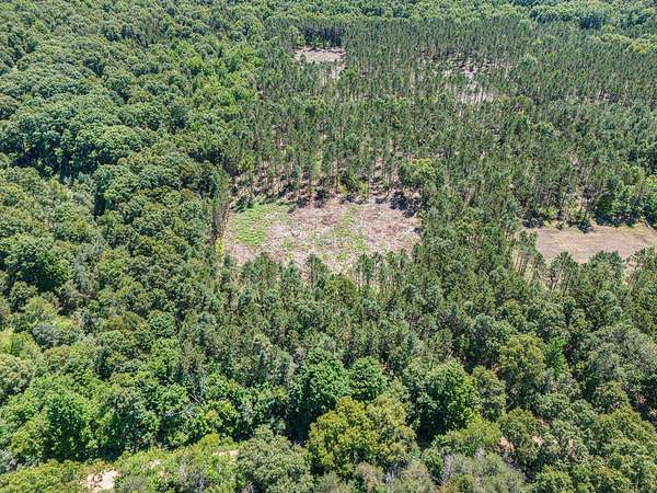 10 Acres of Land for Sale in Mears, Michigan