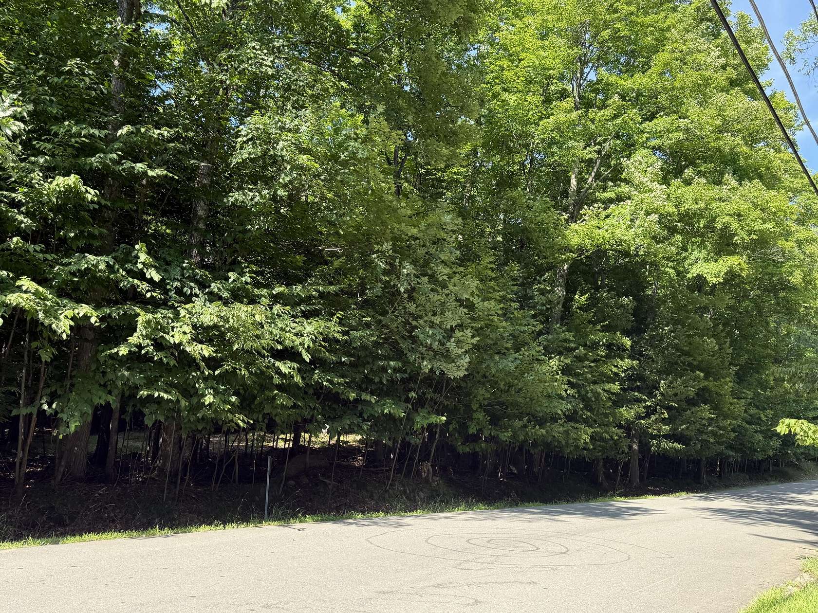 0.82 Acres of Residential Land for Sale in Saranac Lake, New York