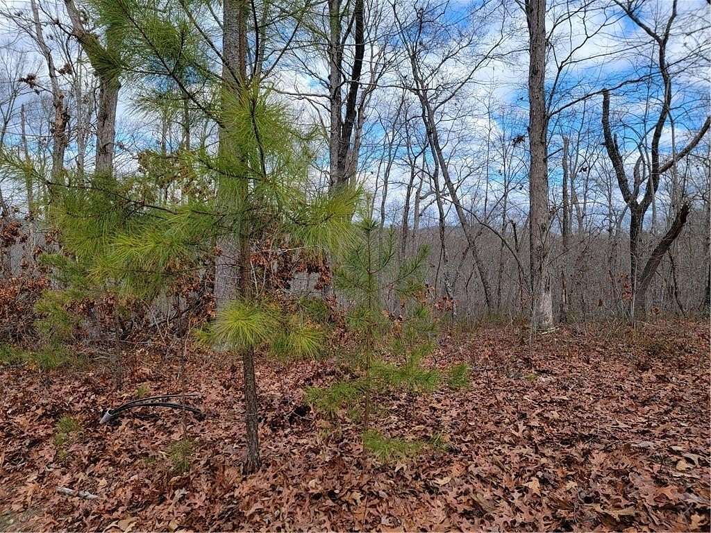 1 Acre of Residential Land for Sale in Ellijay, Georgia