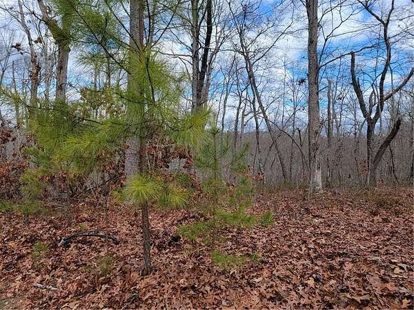 1 Acre of Residential Land for Sale in Ellijay, Georgia