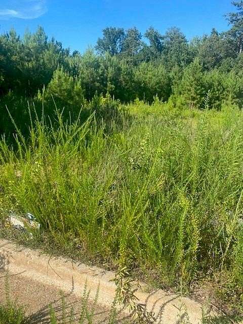 4 Acres of Commercial Land for Sale in Conyers, Georgia