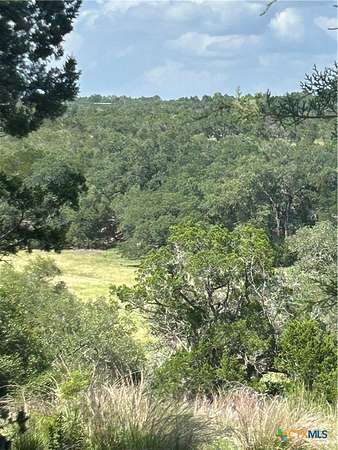 0.72 Acres of Residential Land for Sale in Canyon Lake, Texas