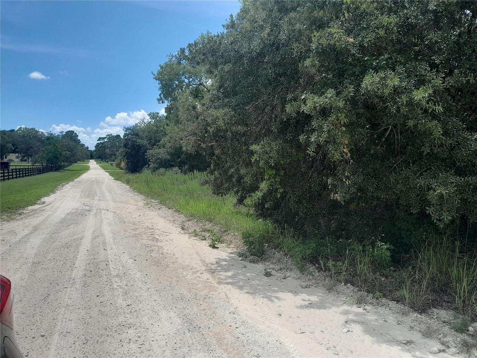 1.25 Acres of Residential Land for Sale in Morriston, Florida