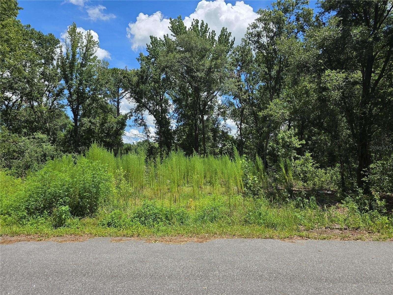 0.23 Acres of Residential Land for Sale in Ocala, Florida