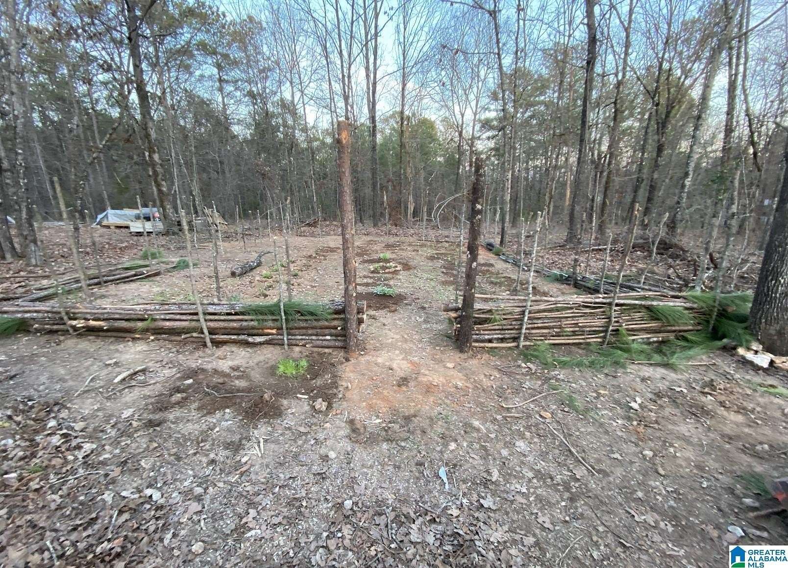 25.5 Acres of Land for Sale in Alpine, Alabama
