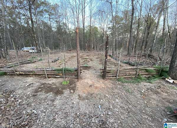 25.5 Acres of Land for Sale in Alpine, Alabama