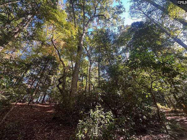 6.6 Acres of Residential Land for Sale in Lexington, South Carolina