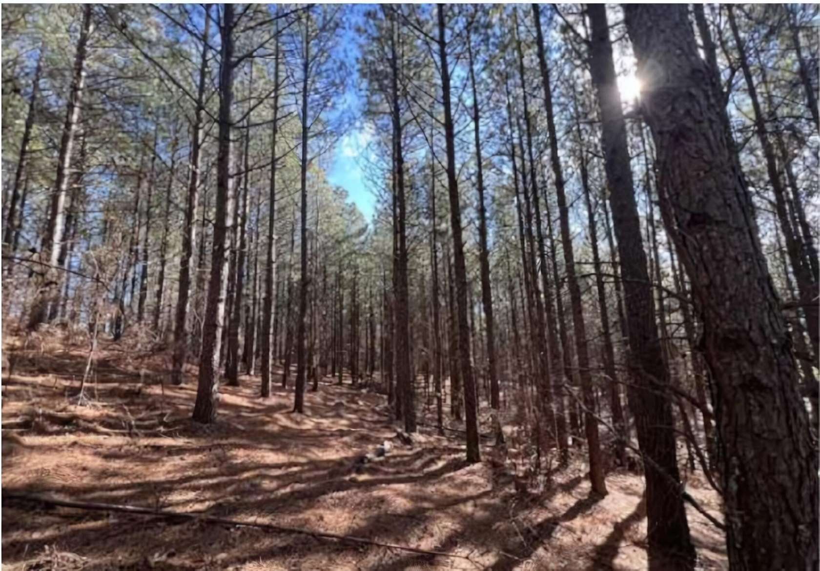 2.89 Acres of Residential Land for Sale in Haletown, Tennessee