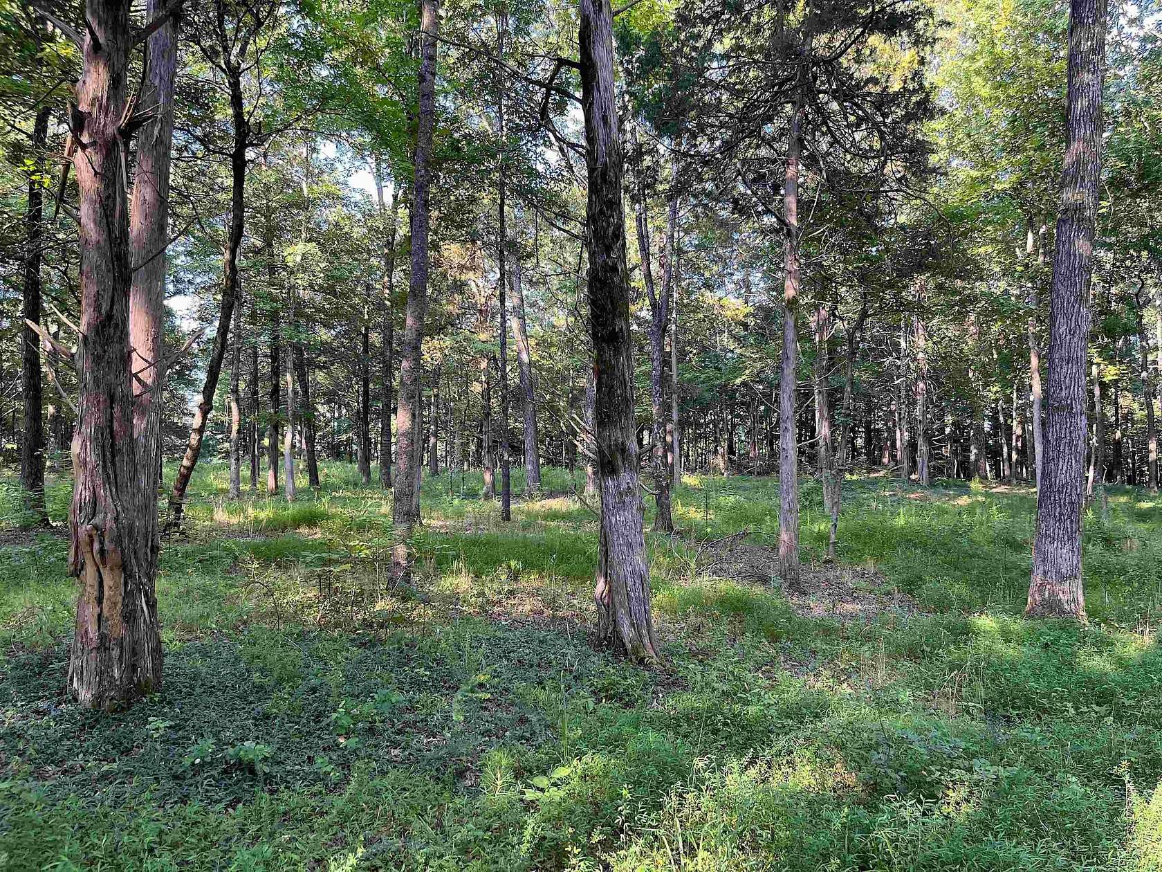 79 Acres of Recreational Land for Sale in Somerville, Tennessee