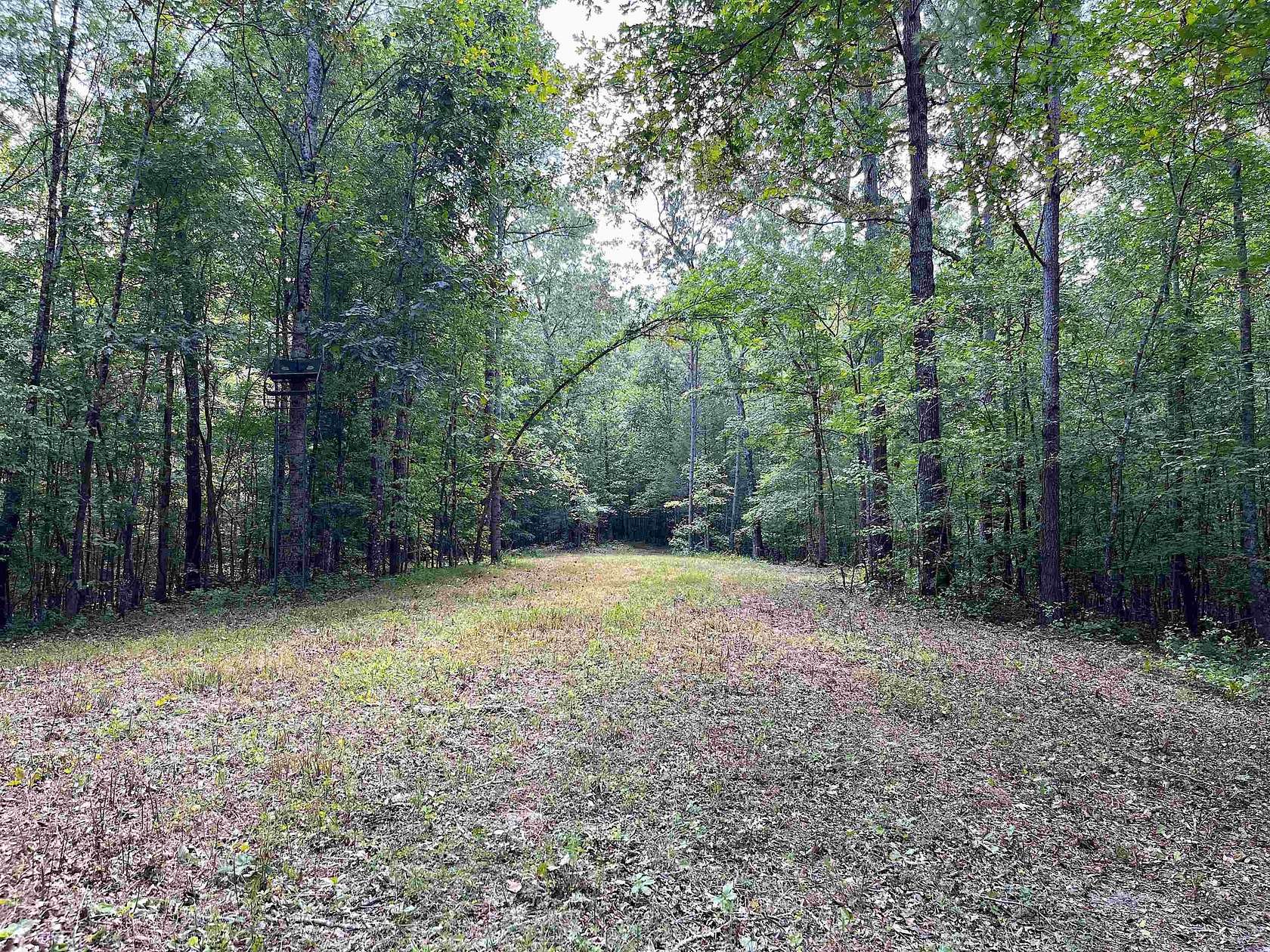 79 Acres of Recreational Land for Sale in Somerville, Tennessee