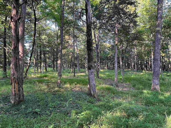 79 Acres of Recreational Land for Sale in Somerville, Tennessee