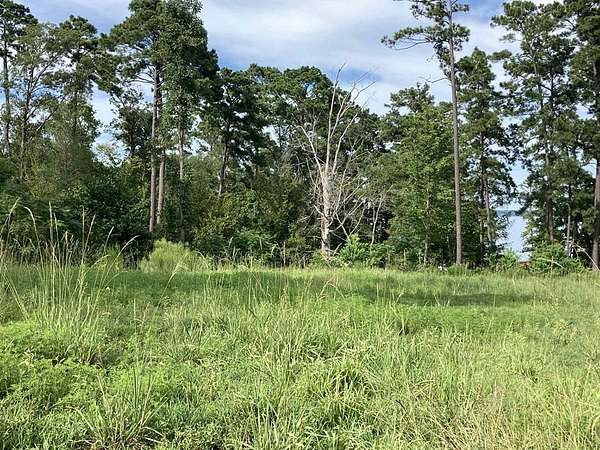 1.5 Acres of Residential Land for Sale in Milam, Texas