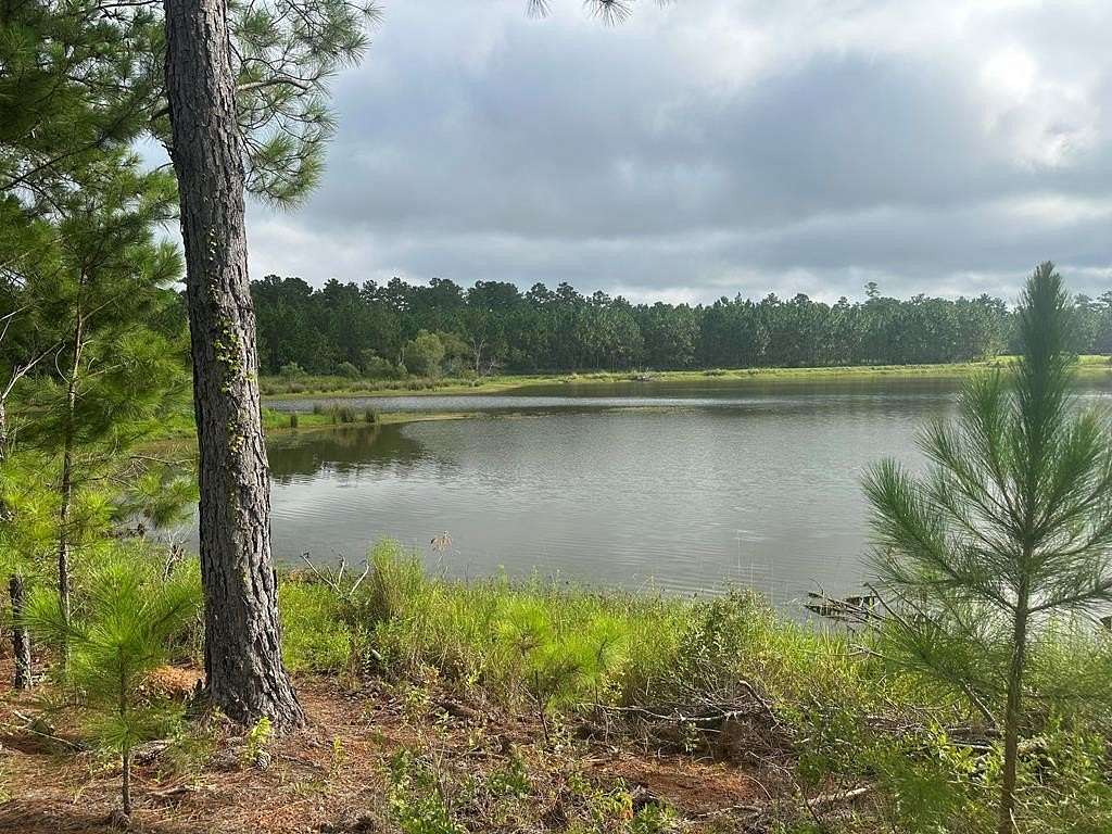 7.67 Acres of Land for Sale in Ochlocknee, Georgia