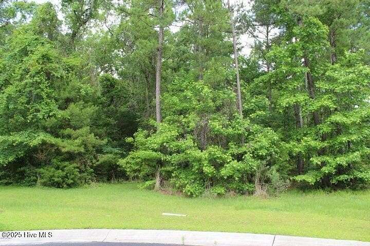 0.4 Acres of Residential Land for Sale in Bolivia, North Carolina