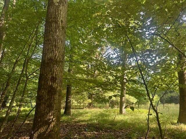 9.7 Acres of Land for Sale in Pleasantville, Pennsylvania