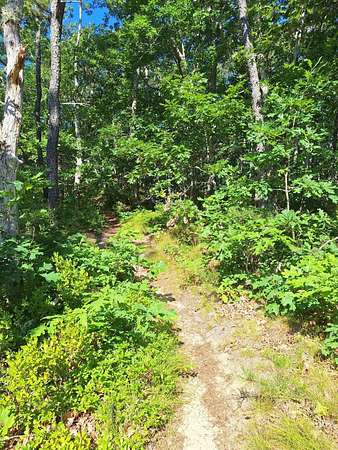 0.74 Acres of Residential Land for Sale in Wellfleet, Massachusetts