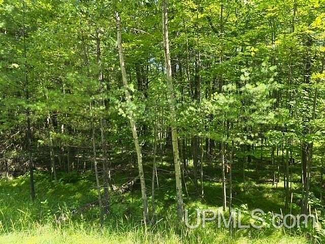 3.79 Acres of Residential Land for Sale in Iron Mountain, Michigan
