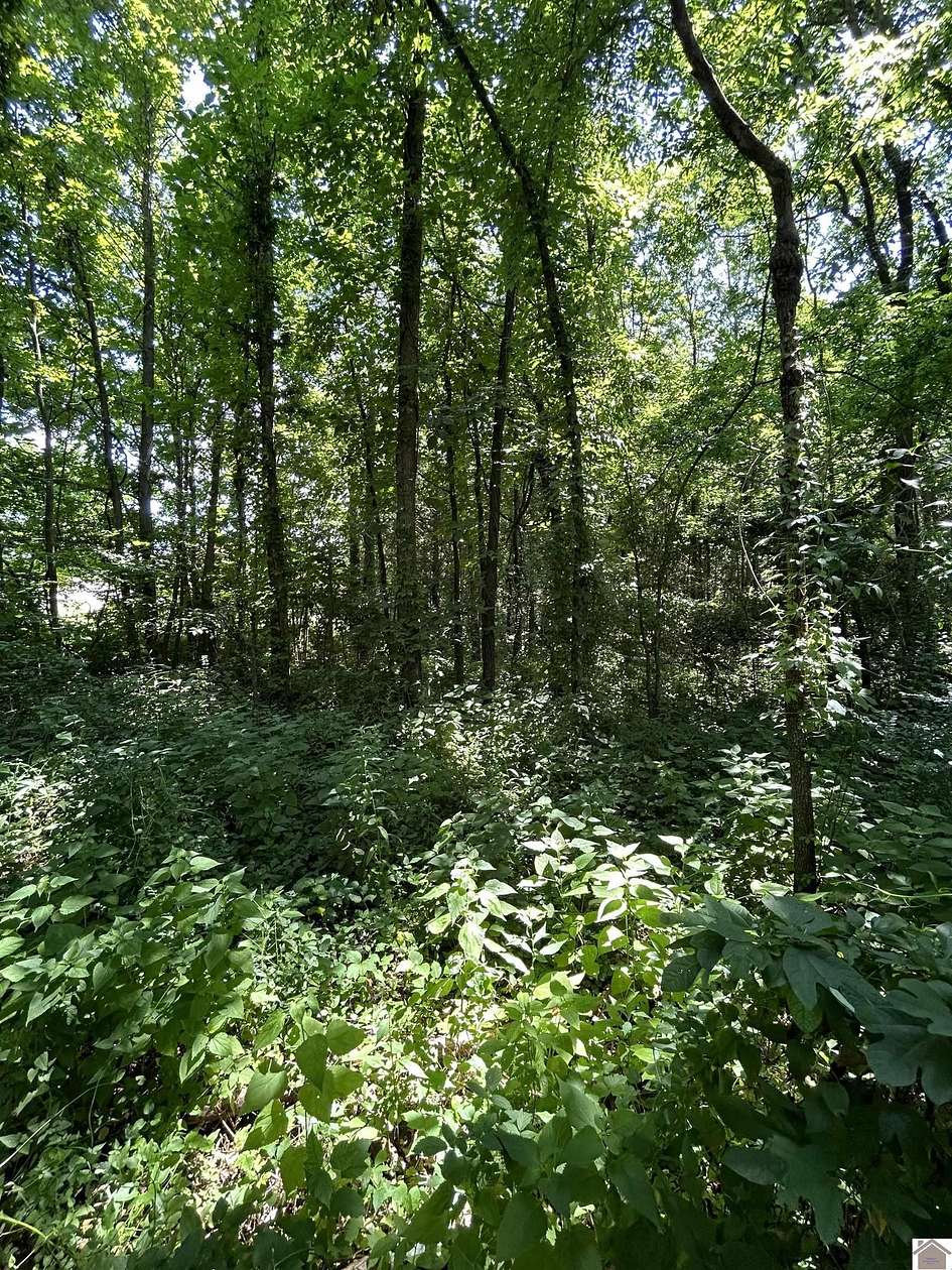 0.48 Acres of Residential Land for Sale in Cadiz, Kentucky