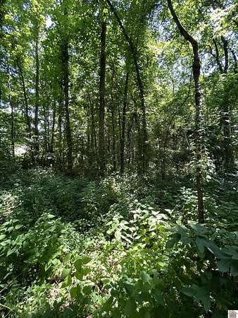 0.48 Acres of Residential Land for Sale in Cadiz, Kentucky