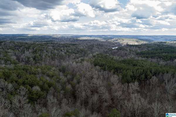 2.18 Acres of Residential Land for Sale in Calera, Alabama