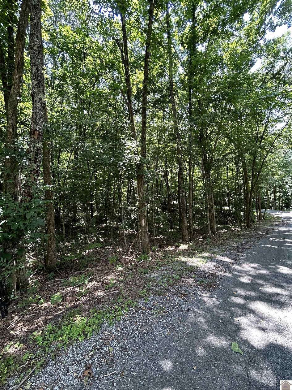 0.48 Acres of Residential Land for Sale in Cadiz, Kentucky