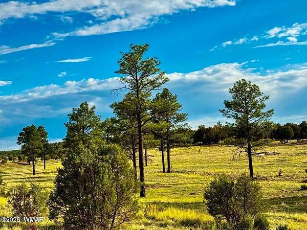 2.54 Acres of Residential Land for Sale in Overgaard, Arizona