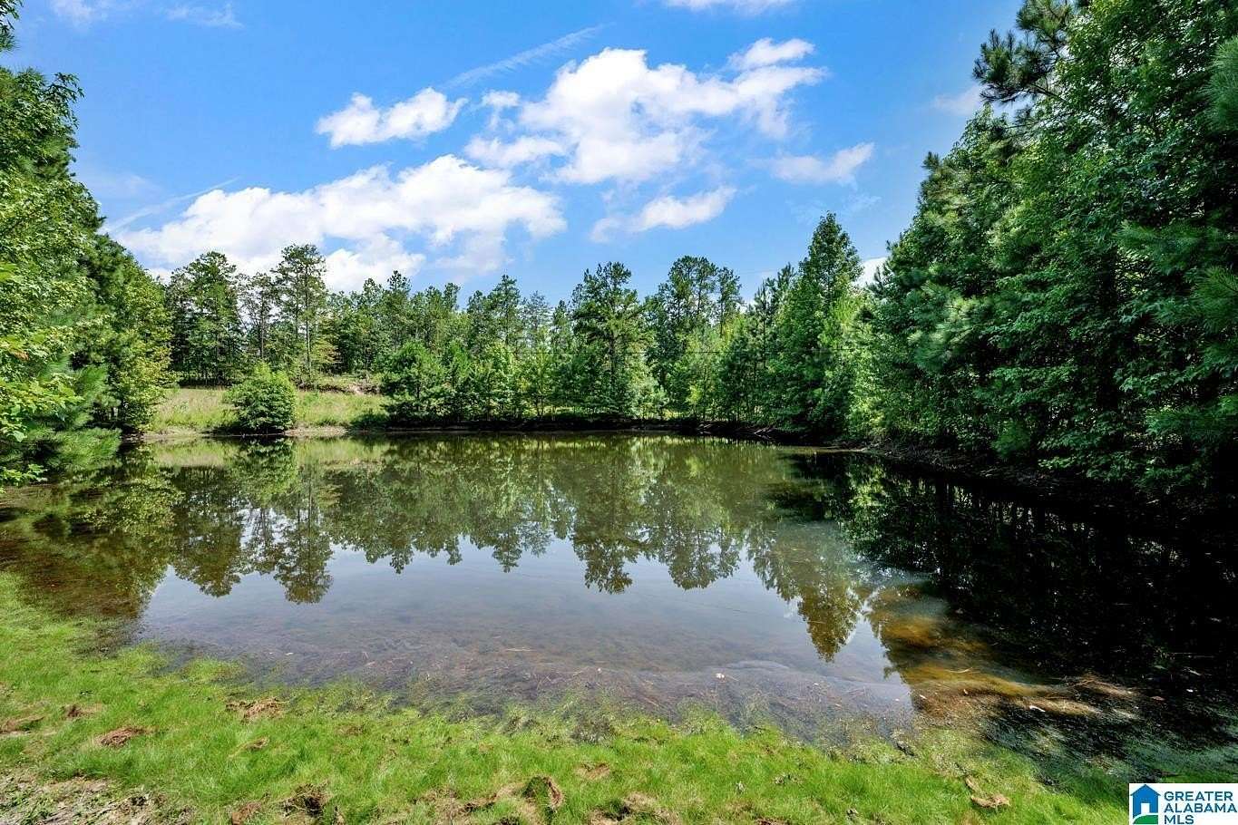 14 Acres of Land with Home for Sale in Remlap, Alabama