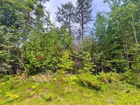 Residential Land for Sale in Presque Isle, Michigan